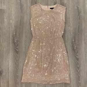 J. Crew Sequins Dress